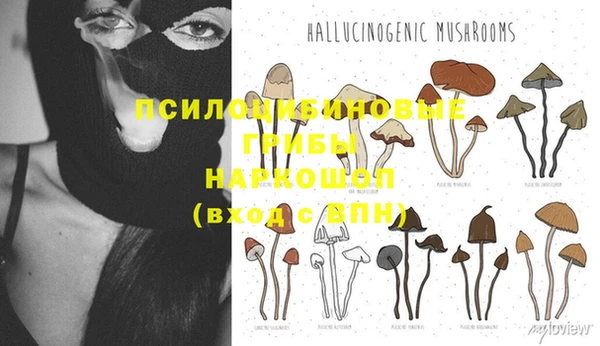 стафф Лагань