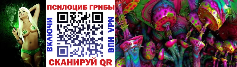закладка  Теберда  Галлюциногенные грибы Magic Shrooms 