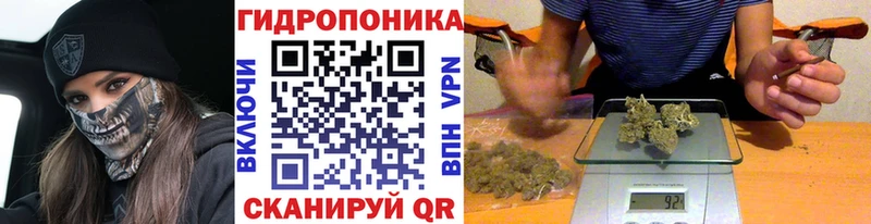 MEGA ссылка  Теберда  Шишки марихуана OG Kush 